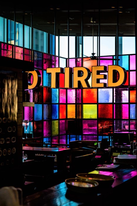 howling-red-622247-unsplash